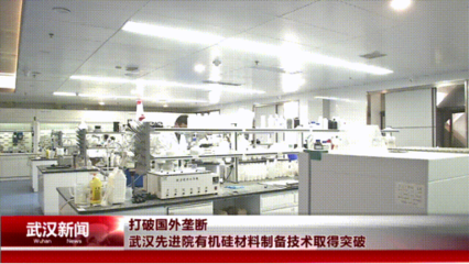 武漢先進(jìn)院突破有機(jī)硅材料制備技術(shù)，為電氣科技國(guó)產(chǎn)化注入新動(dòng)能
